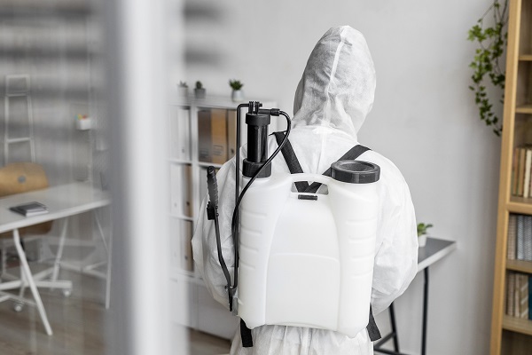 The Hidden Costs of Pest Infestations